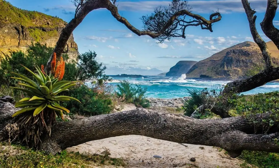 Seguro de viagem para a África do Sul