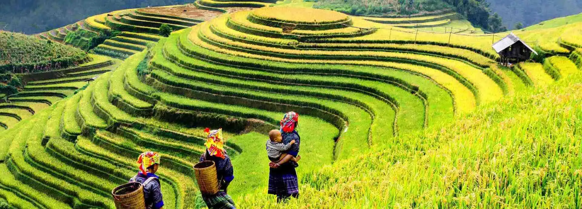 Seguro de viagem para o Camboja