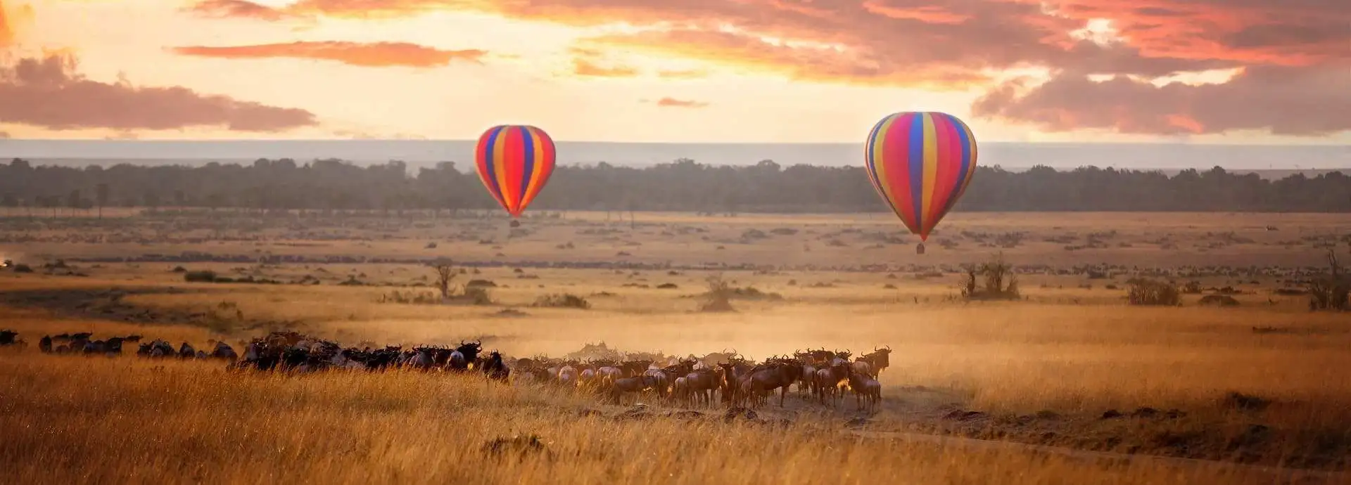 Seguro de viagem para o Quénia