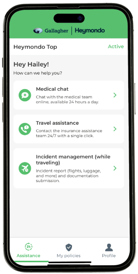 Travel Assistance App