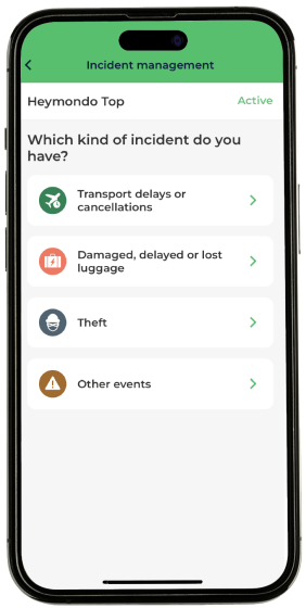 Travel Assistance App