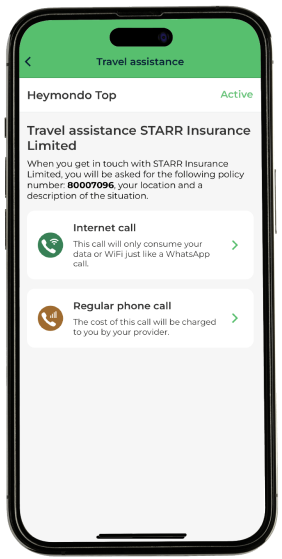 Travel Assistance App