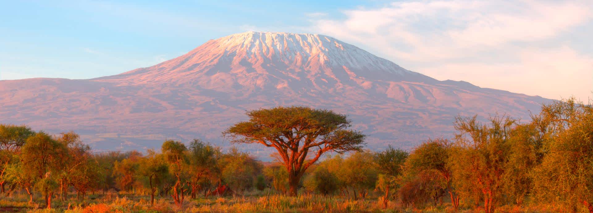 Travel insurance for Tanzania