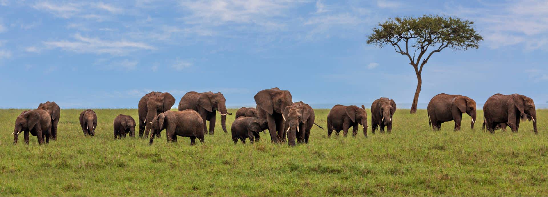 Travel insurance for Kenya Travel insurance for Kenya
