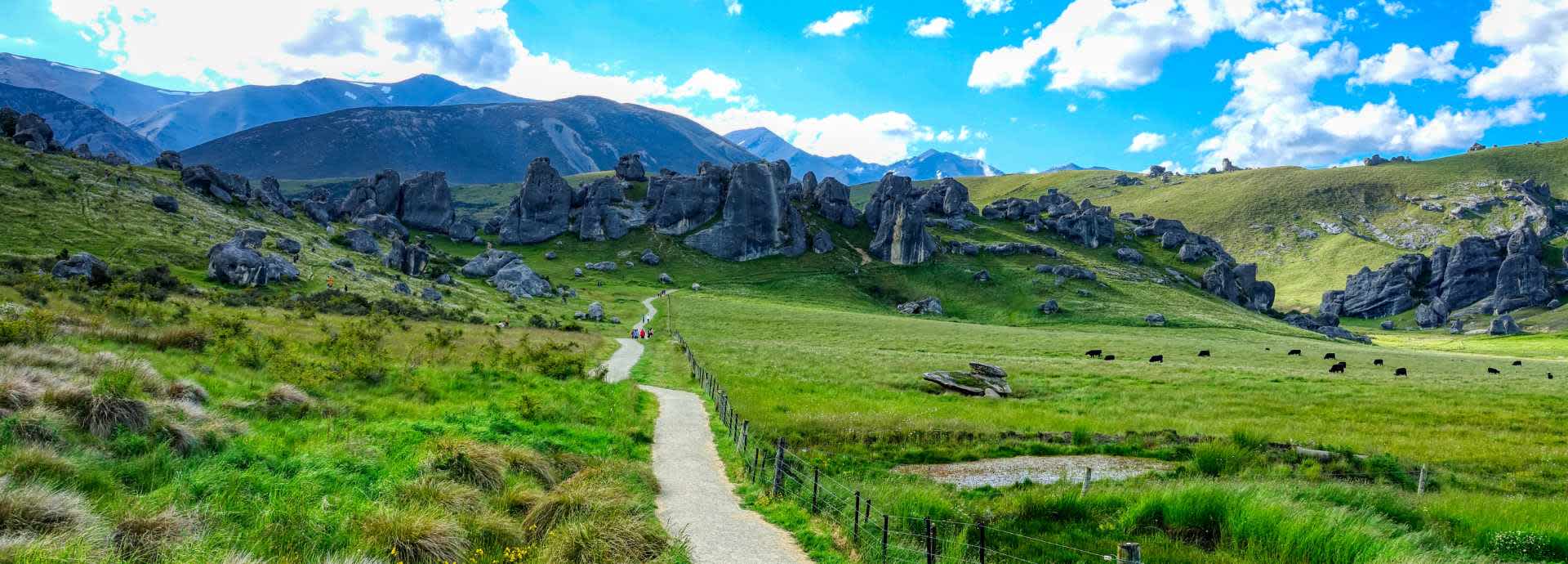 Travel insurance for New Zealand