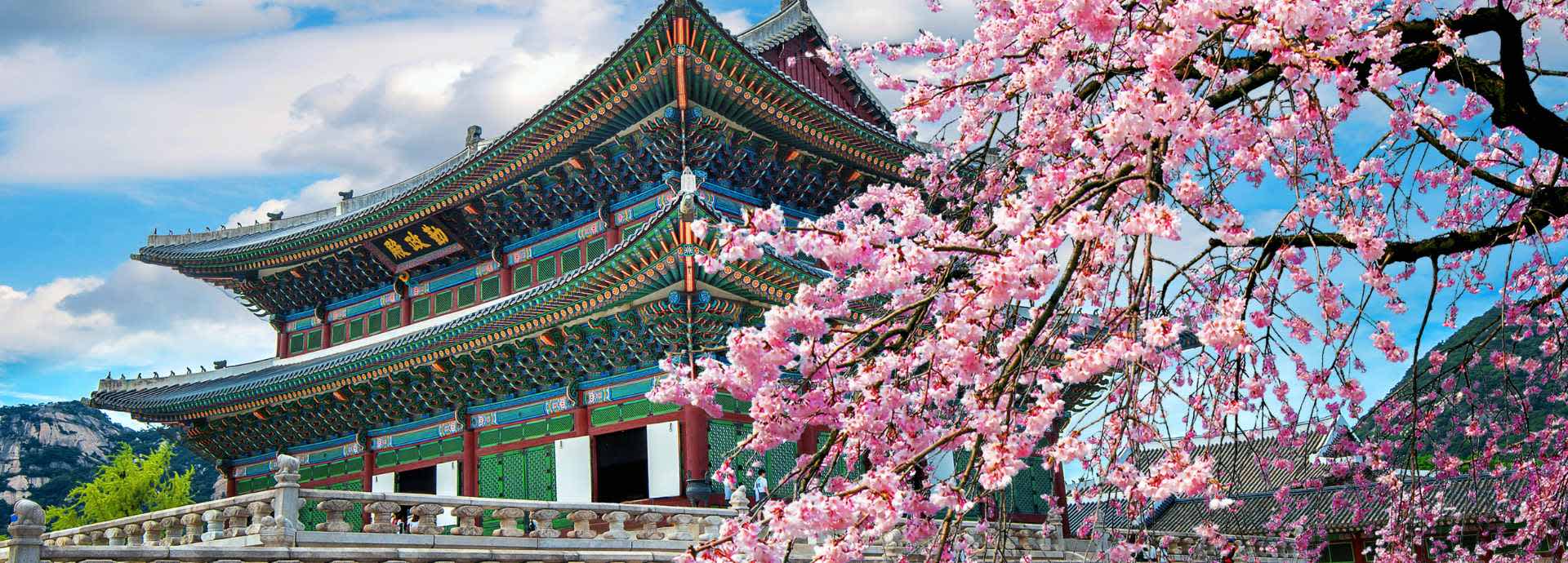 Seguro de viaje a Corea del Sur Seguro de viaje a Corea del Sur