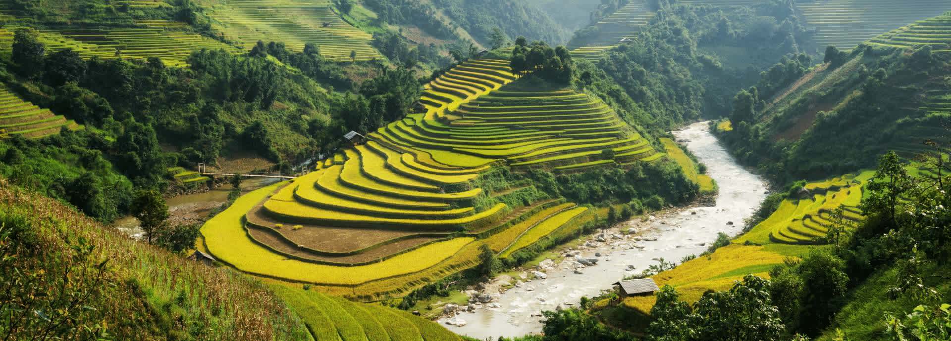 Seguro de viaje a Vietnam