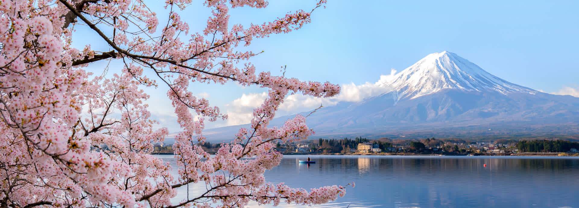 Seguro de viaje a Japón Seguro de viaje a Japón