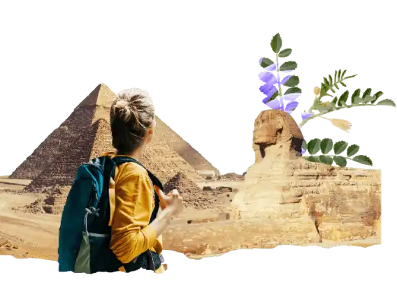 Travel insurance for Egypt