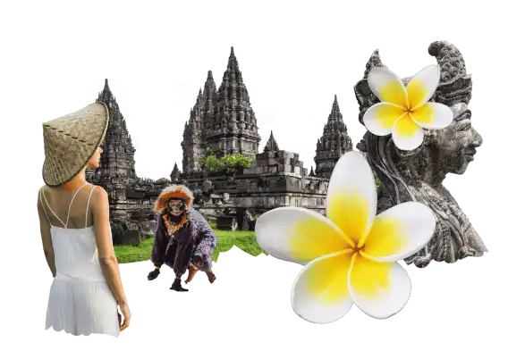 Travel insurance for Indonesia Travel insurance for Indonesia