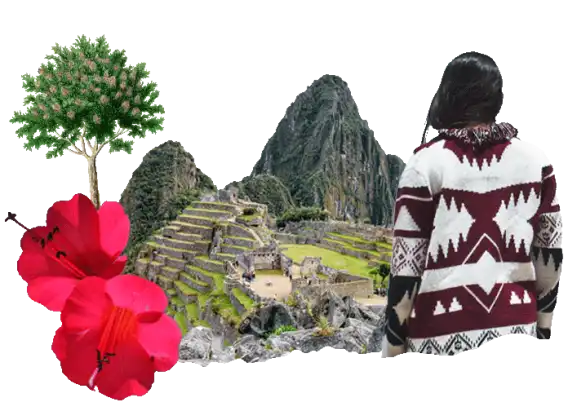 Travel insurance for Peru Travel insurance for Peru
