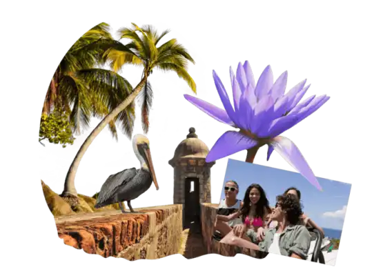 Did you know that in Puerto Rico