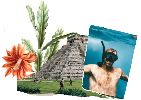 Did you know that in Mexico Did you know that in Mexico