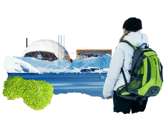 Did you know that in Antarctica